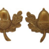 Pair of Cheshire Regiment Collar Badges