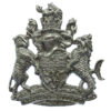 Devon & Exeter Joint Constabulary Cap Badge