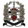 Hampshire Constabulary Sergeants Enamelled Cap Badge - Queen's Crown
