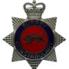 Surrey Constabulary Enamelled Star Cap Badge - Queen's Crown