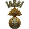 Royal Irish Fusiliers Cap Badge