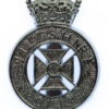 Wiltshire Police Cap Badge - Queen's Crown