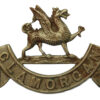 Glamorgan Constabulary White Metal Collar Badge