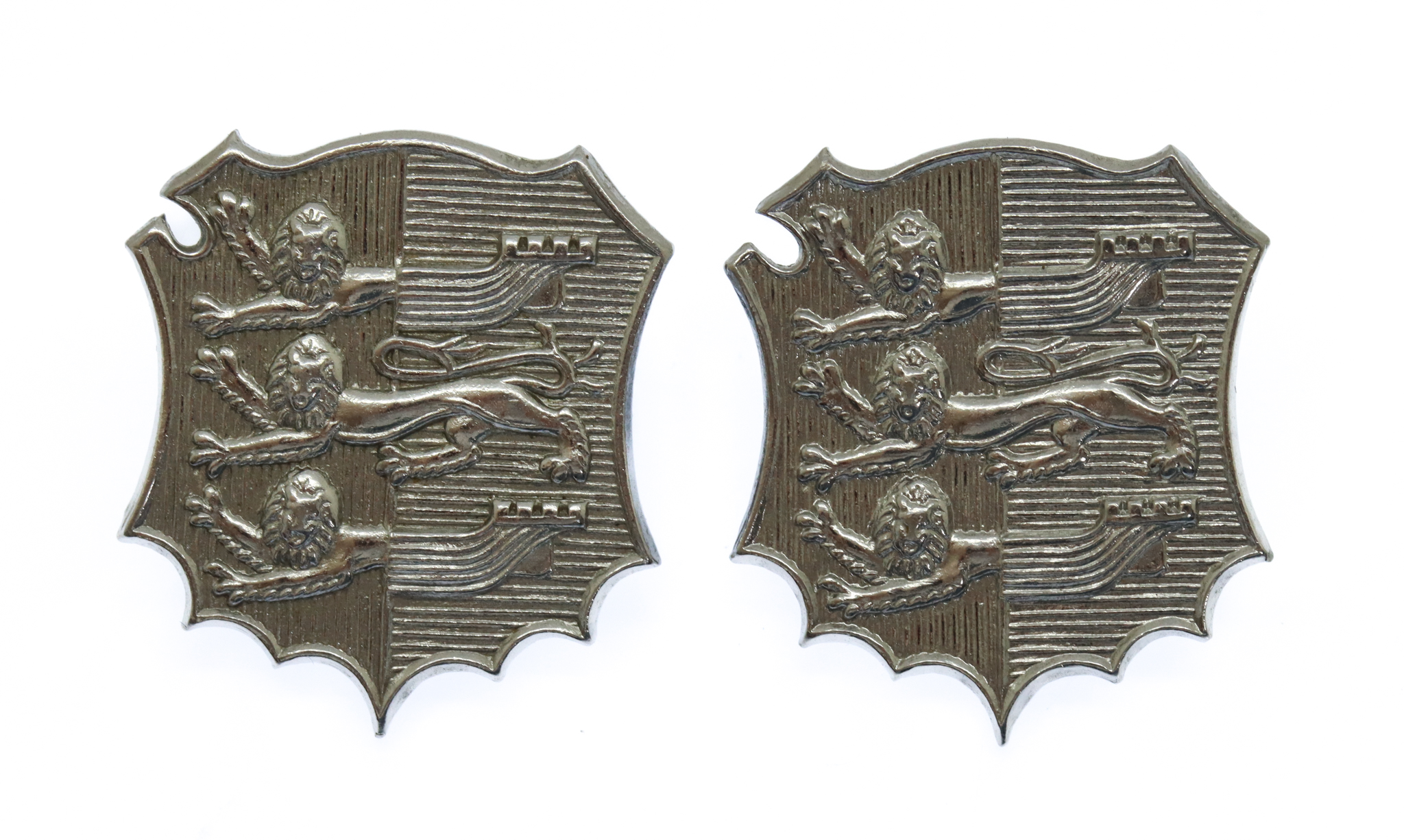 Pair of Hastings Borough Police Collar Badges (2nd Pattern)