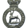 Hertfordshire Constabulary Chrome Cap Badge