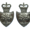 Pair of Worcestershire Constabulary Collar Badges - Queen's Crown