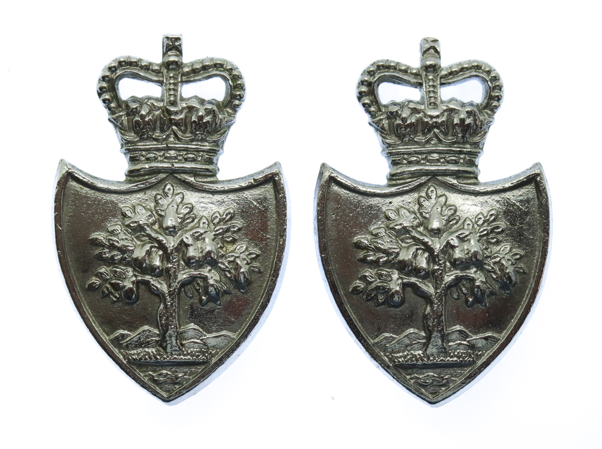 Pair of Worcestershire Constabulary Collar Badges - Queen's Crown
