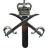 Army Physical Training Corps (A.P.T.C.) Chrome Cap Badge - Queen's Crown