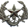 Cameronians (Scottish Rifles) Anodised (Staybrite) Cap Badge