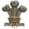 Royal Regiment of Wales Anodised (Staybrite) Cap Badge