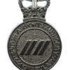 British Airports Authority Constabulary Cap Badge - Queen's Crown