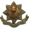 Cheshire Regiment Bi-Metal Cap Badge
