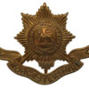 Victorian/Edwardian Worcestershire Regiment Cap Badge