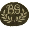 British Army Bren Gunner (B.G.) Cloth Proficiency Arm Badge 