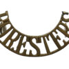 Notts & Derby Regiment (FORESTERS) Shoulder Title