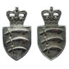 Pair of Essex Constabulary Collar Badges - Queen's Crown