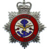 Defence Fire Service Enamelled Cap Badge - Queen's Crown