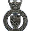 Norfolk Police Community Support Officer PCSO Cap Badge - Queen's Crown