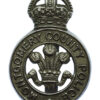 Montgomery County Police (Montgomeryshire Constabulary) Cap Badge - King's Crown