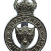 Shropshire Constabulary Cap Badge - King's Crown
