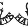 Pair of Hampshire Cadet Volunteers (C/V/HANTS) Shoulder Titles