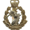 Royal Army Dental Corps (R.A.D.C.) Anodised (Staybrite) Cap Badge