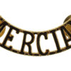 Mercian Regiment (MERCIAN) Shoulder Title