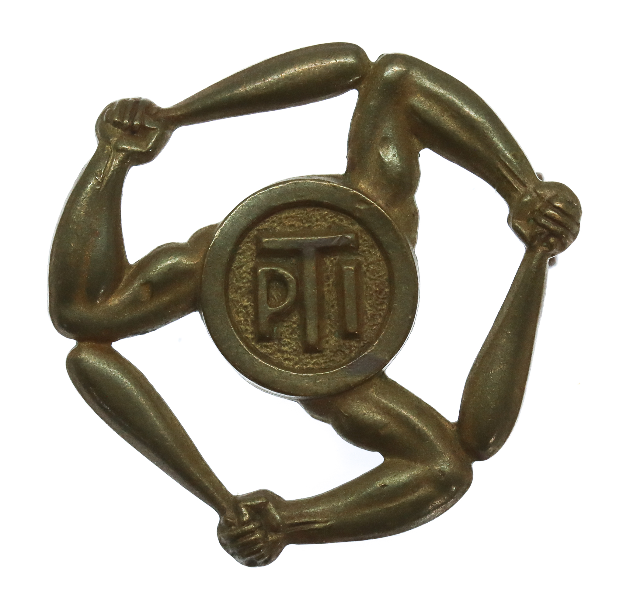 Royal Air Force (R.A.F.) Physical Training Instructors (P.T.I.) Mess Dress Arm Badge