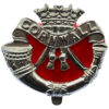 Duke of Cornwall's Light Infantry Anodised (Staybrite) Cap Badge