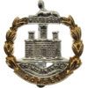 Dorset Regiment Anodised (Staybrite) Cap Badge