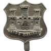 Dorsetshire Territorials Anodised (Staybrite) Cap Badge