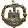 Dorset Regiment Anodised (Staybrite) Cap Badge