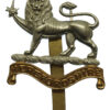 Herefordshire Regiment Cap Badge