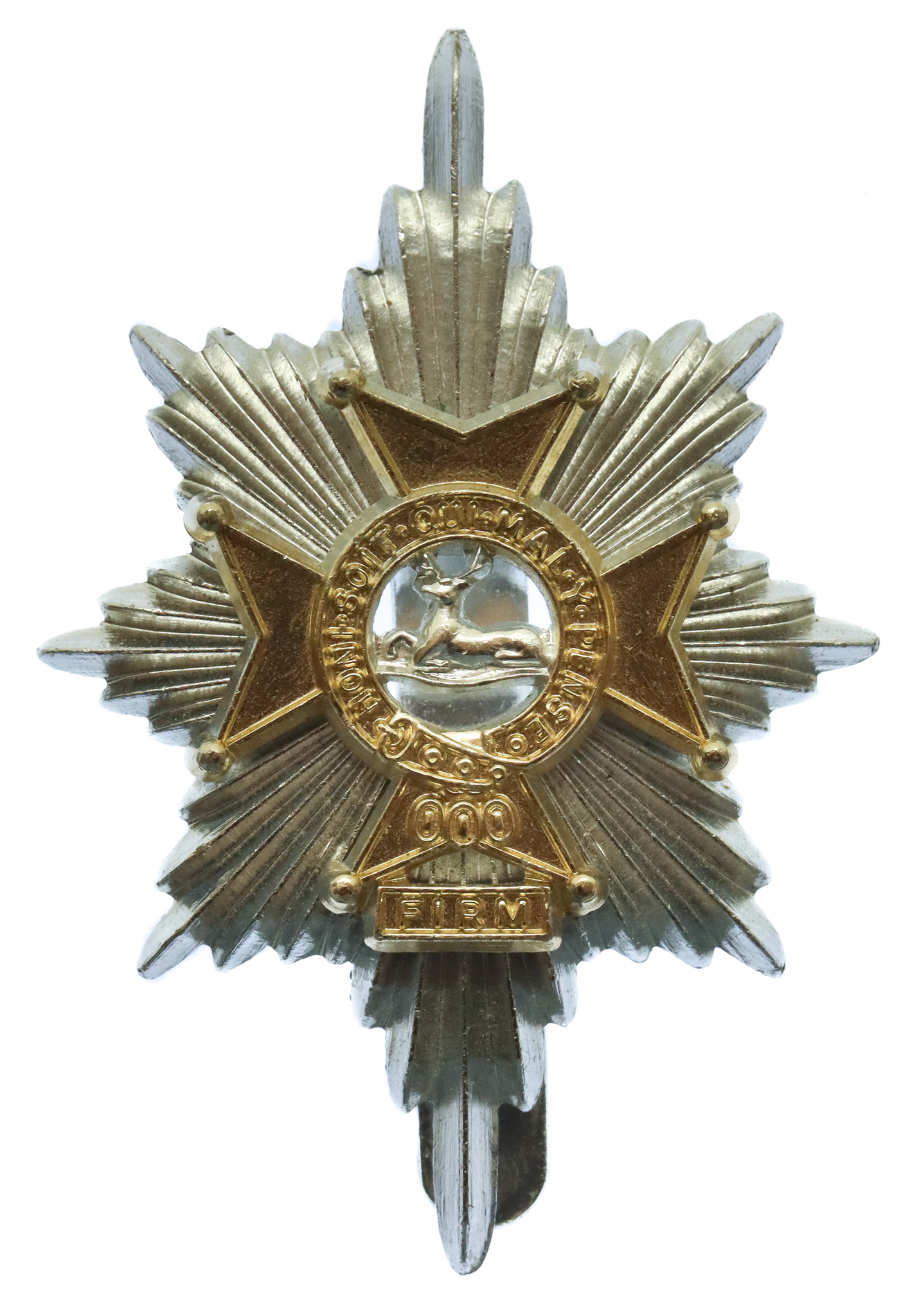 Worcestershire & Sherwood Foresters Anodised (Staybrite) Cap Badge