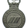 British Airports Authority Constabulary Cap Badge - Queen's Crown