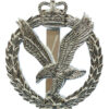 Army Air Corps Anodised (Staybrite) Cap Badge