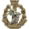 Royal Army Dental Corps (R.A.D.C.) Anodised (Staybrite) Cap Badge