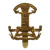 Leicestershire Yeomanry (Prince Albert's Own) Cap Badge