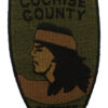 United States Cochise County Sheriff AZ Cloth Patch Badge