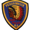 United States Pequannock TWSP. Police N.J. Cloth Patch Badge