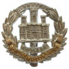 Northamptonshire Regiment Anodised (Staybrite) Cap Badge