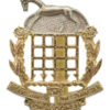 Berkshire & Westminster Dragoons Anodised (Staybrite) Cap Badge