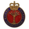 Welch Guards Association Enamelled Lapel Badge - Queen's Crown