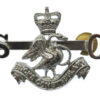 Buckinghamshire Special Constabulary Collar Badge - Queen's Crown