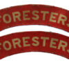 Pair of Notts & Derby Regiment The Sherwood Foresters (FORESTERS) WW2 Printed Shoulder Titles