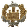 Essex Regiment Anodised (Staybrite) Cap Badge