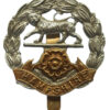 Hampshire Regiment Cap Badge
