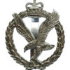 Army Air Corps Anodised (Staybrite) Cap Badge