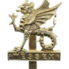 Wessex Brigade Anodised (Staybrite) Cap Badge