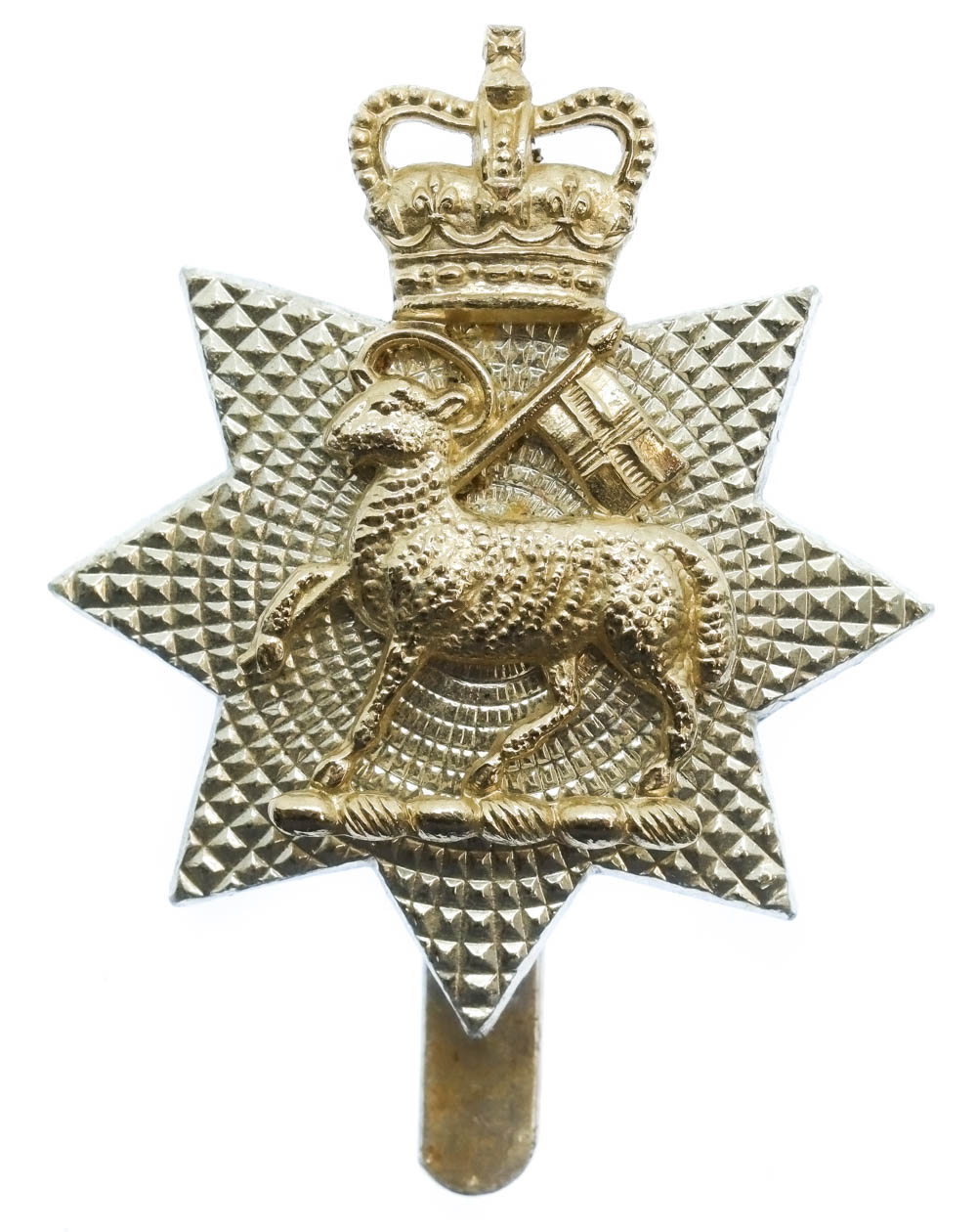 The Queen's Royal Surrey Regiment Anodised (Staybrite) Cap Badge